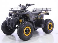 Квадроцикл Motax ATV Grizlik T 200 Желтый камуфляж