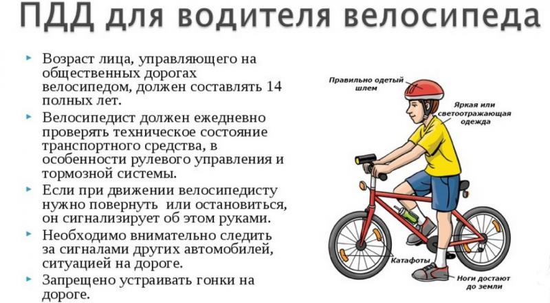 Обучение и инструктаж
