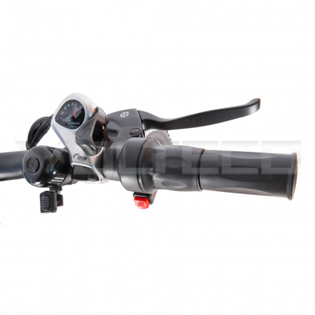 Электровелосипед PEDEGGIO DUAL