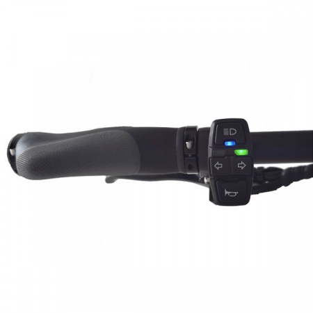 Электросамокат Minimotors Rovoron Kullter