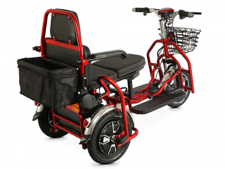 Электротрицикл Transporter Dual PLUS (M)