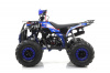 Квадроцикл MOTAX GRIZLIK A125